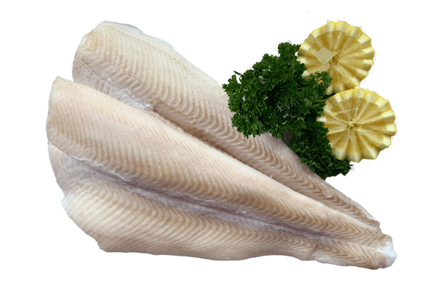Heilbotfilet