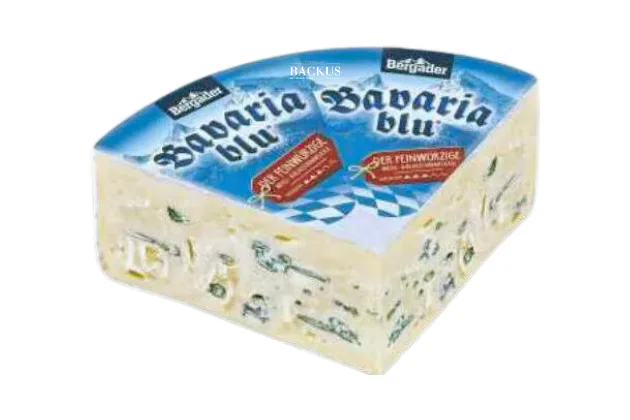 bavaria blu logo