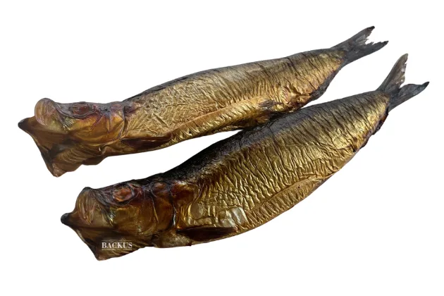 gestoomde bokking logo png